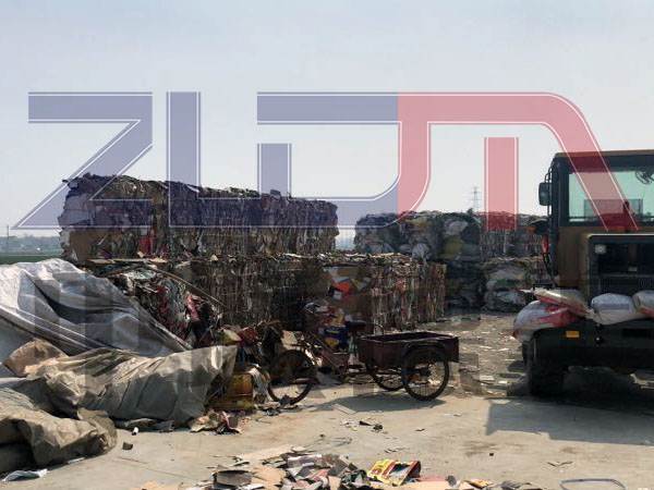 遼寧泡沫打包機(jī)買(mǎi)